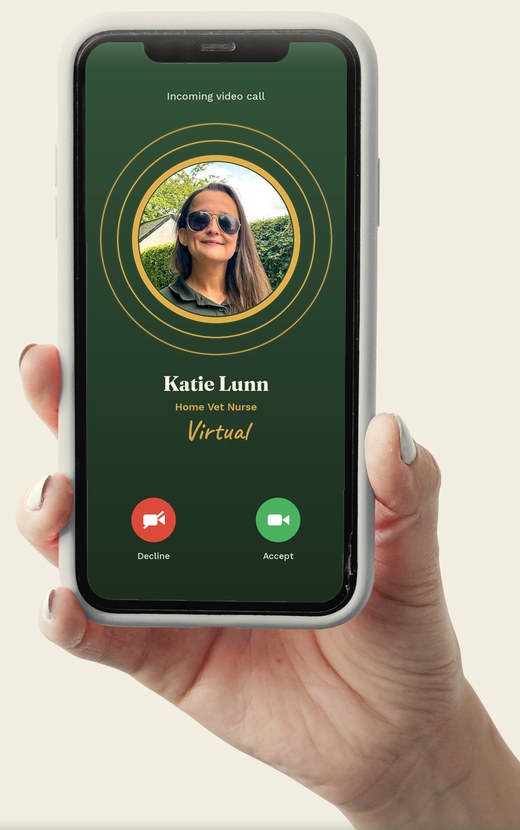 Katie Lunn on a phone screen showing an incoming Home Vet Nurse Virtual video call